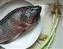 齿香清蒸鱼的做法图解1