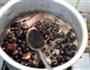 瓜丁黑豆的做法图解3