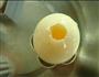 玛瑙蛋的做法图解3