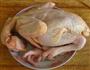 口水鸡的做法步骤1