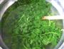芹叶果仁的做法图解4