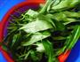 清炒空心菜的做法图解1