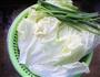 葱香大白菜的做法图解1
