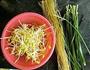 韭菜豆芽炒粉丝的做法图解1