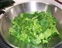 清炒菠菜的做法图解3