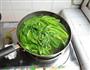 菠菜粉丝的做法图解5