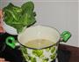 芥菜海鱼汤的做法图解8