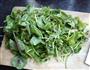 蚝香苋菜的做法图解3