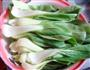香菇青菜的做法图解1