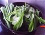豆豉蒜蓉油麦菜的做法图解6
