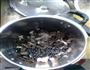 生地黑豆排骨汤的做法图解4