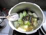 冬瓜海带丝排骨汤的做法图解8