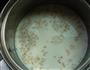 奶香焦麦粥的做法图解4