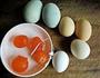 徽菜三色蒸蛋的做法图解1