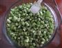 自制酸豆角的做法图解4