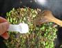 咸菜毛豆炒肉丝的做法图解10