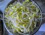 凉拌黄豆芽的做法图解4
