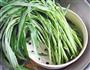 蒜茸空心菜的做法图解1