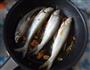 红烧鱼的做法图解6