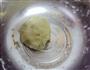 抹茶酥的做法图解5