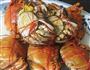 清蒸螃蟹的做法图解5
