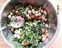 雪菜花生的做法图解9