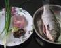 包瓜肉糜嵌鲫鱼的做法图解1