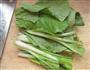 鸡脯扒小白菜的做法图解3