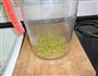 绿豆薄荷米糊的做法图解4