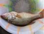 蒸鲈鱼的做法图解3