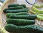 配粥小菜酱腌小黄瓜的做法图解6