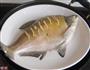 清蒸鳊鱼的做法图解5