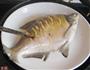 清蒸鳊鱼的做法图解6
