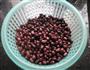 红豆沙的做法图解6