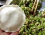 芹菜酱肉馅饼的做法图解8