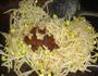黄豆酱拌炒黄豆芽的做法图解5