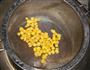 芹菜胡萝卜炒玉米粒的做法图解4