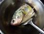 鱼头豆腐枸杞浓汤的做法图解3