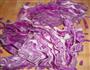 炝拌紫甘蓝的做法图解1