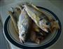 糖醋小黄鱼的做法图解1
