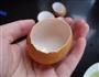 四喜蛋壳蛊的做法步骤3