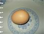 简单荷包蛋的做法图解1