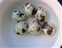 三鲜鹌鹑蛋的做法图解9