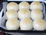 炼奶胚芽小餐包的做法图解9