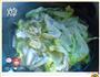 李府蚝油生菜的做法图解7