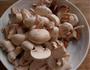 鲜蘑银耳大骨汤的做法图解4