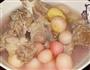 扬花萝卜猪骨汤的做法图解4