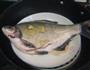 多味鳊鱼的做法图解2