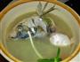 豆腐鱼汤的做法图解3