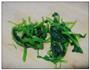 菠菜拌粉丝的做法图解2